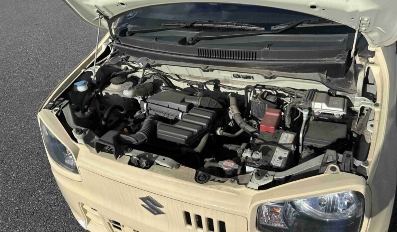 
								Suzuki Alto 2018 Ene-Charge full									