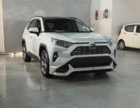 TOYOTA RAV4 HYBRID 2019