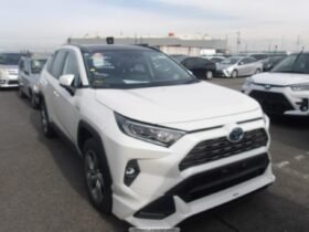 TOYOTA RAV4 HYBRID 2019