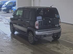 SUZUKI HISTLER J2 2019