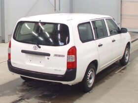 TOYOTA SUCCEED 2019
