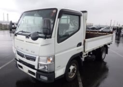 MITSUBISHI FUSO 2019